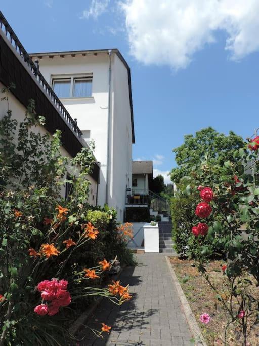 Julia'S Mosel Villa Appartement Nicolas Verbandsgemeinde Verbandsgemeinde Traben-Trarbach Buitenkant foto